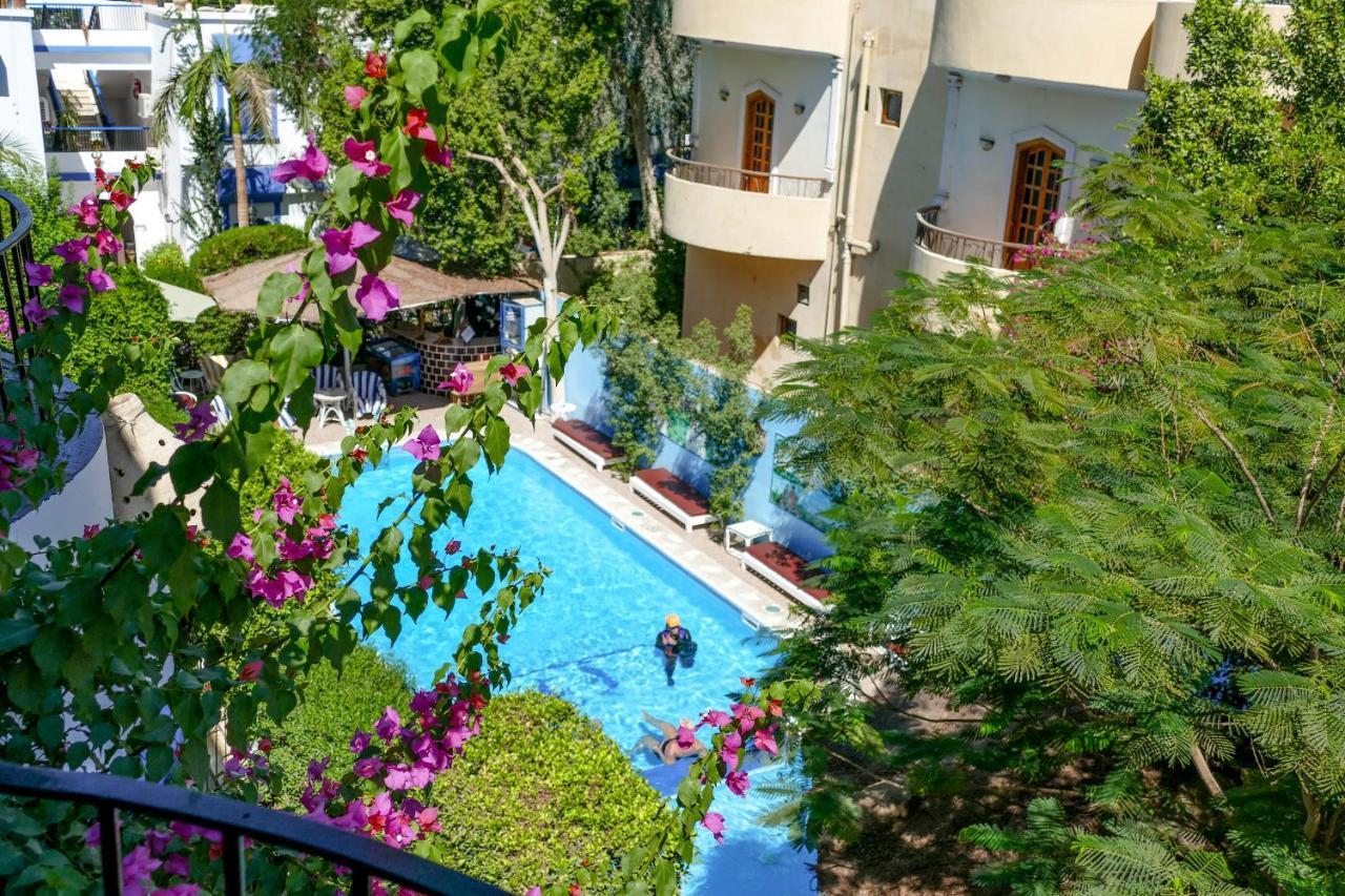 El Gezira Garden Hotel Луксор Экстерьер фото